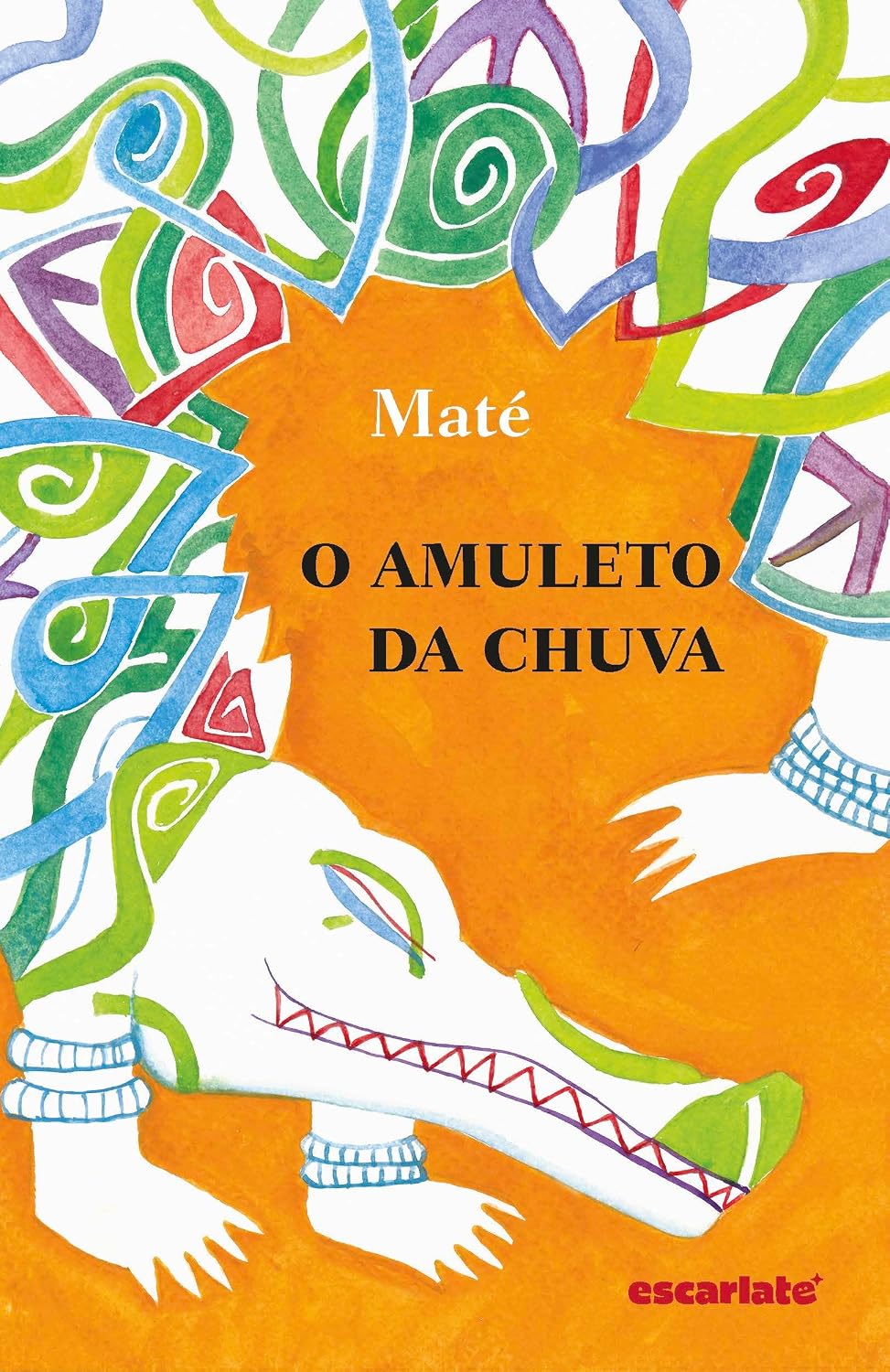 Livro O Amuleto Da Chuva - Maté