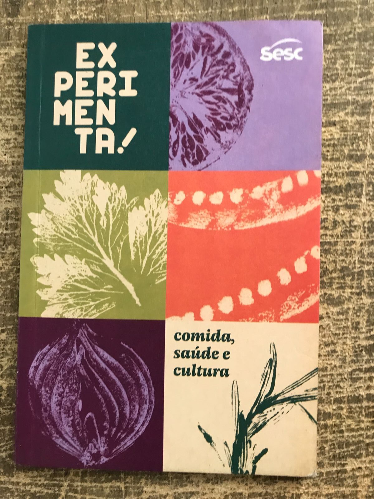 Livro Experimenta! Comida, Sáude E Cultura - Aline Guedes